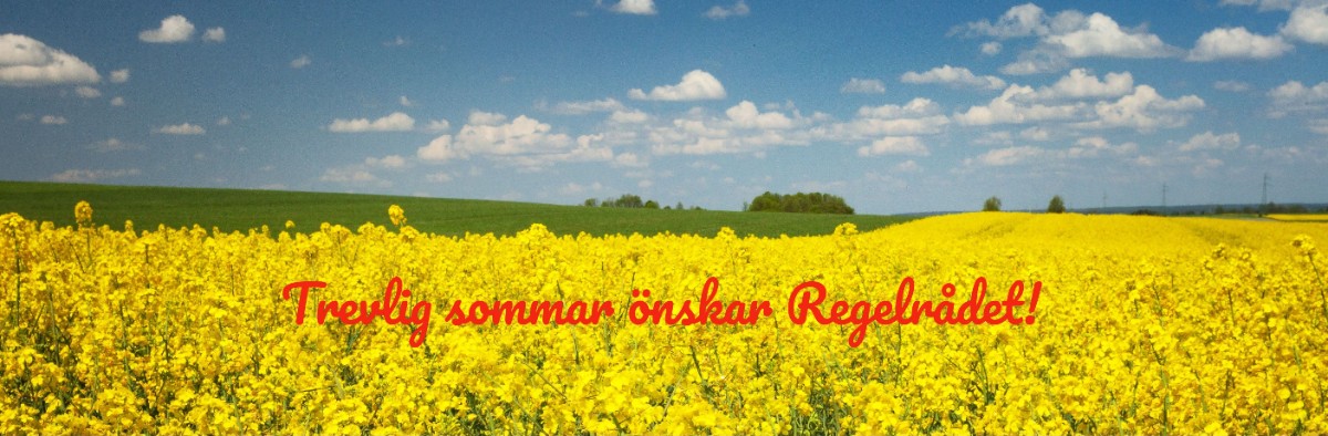 Blommande gult rapsfält med blå himmel  och moln i bakgrunden.