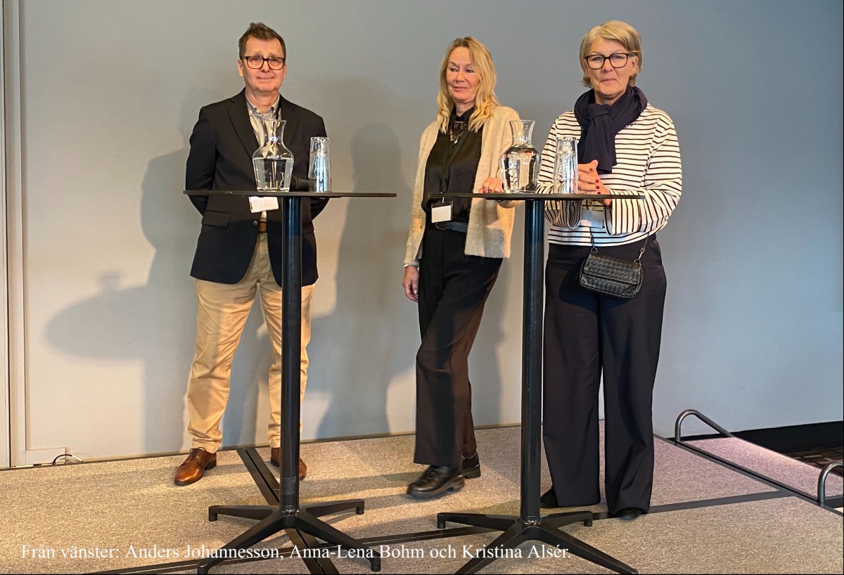 Anders Johannesson, A-L Bohm, Kristina Alsér.