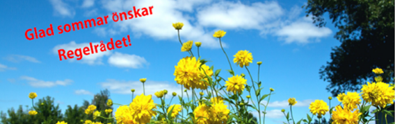 Blommande prästkragar med blå himmel som bakgrund.